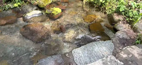 水の透明感がすごい！綺麗な小川