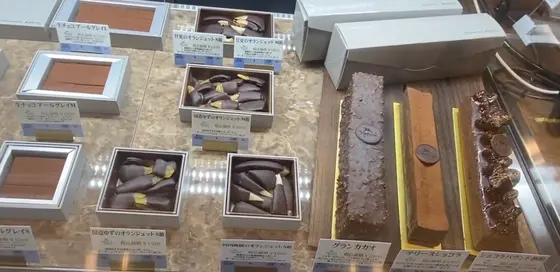 ショーケース