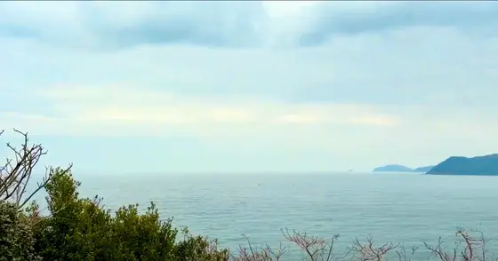 展望台からの景色