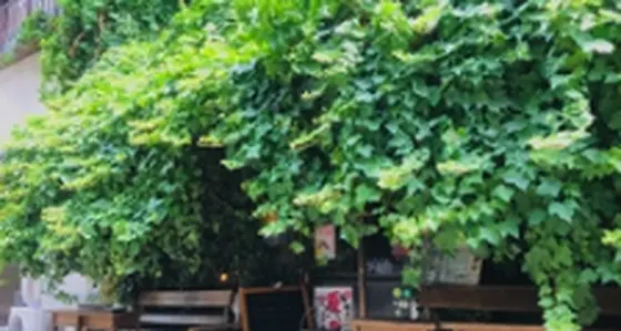 salon de 天人