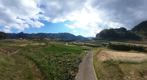 栃又の棚田 360度写真