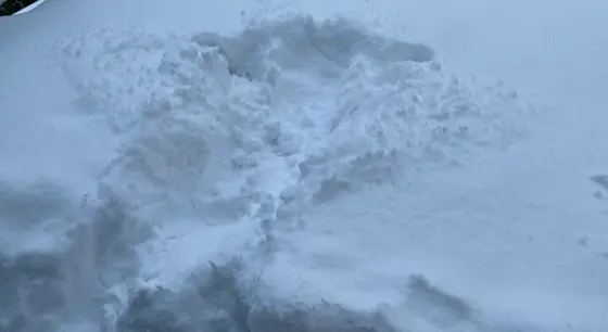雪のベッドにダイブしてみました😂
