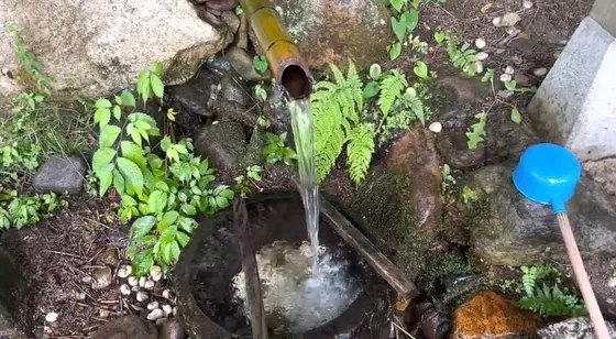 水汲み用の冷泉