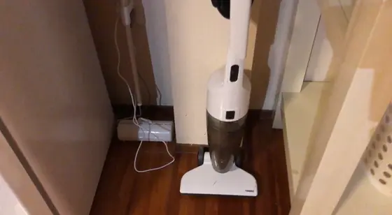 掃除機とコロコロ