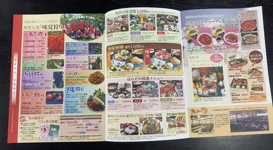一年中季節のフルーツ狩りができます🍎🍇