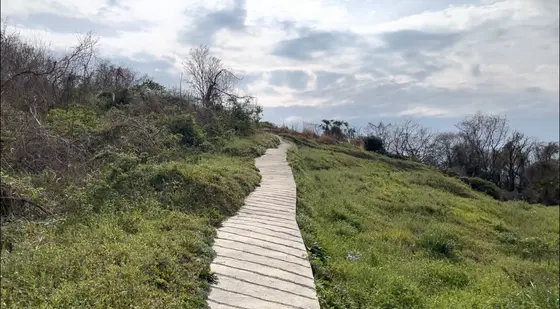 細い一本道