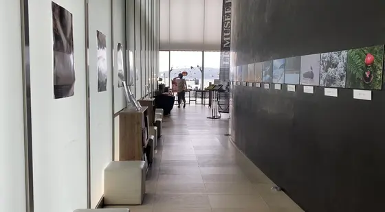 内観