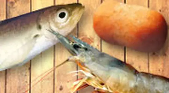 餌切れの心配なし