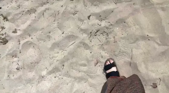 白い砂浜も特徴🚢