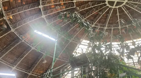 亜熱帯エリアを再現