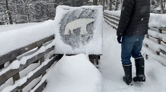 🐻‍❄️マーク