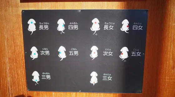 パピーの識別方法