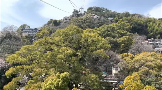どんどん登っていきます〜！