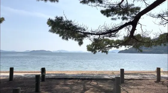 松並木を抜けると海