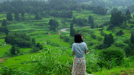 看板をたよりに山をぐんぐん登ります