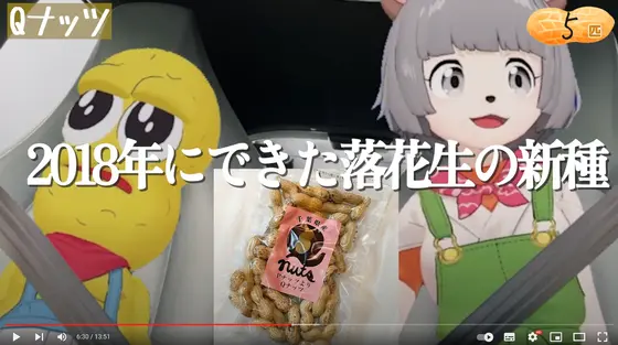 Qナッツ