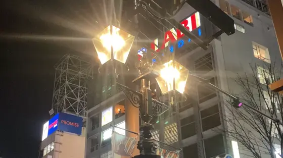 トータル22体あるとか…