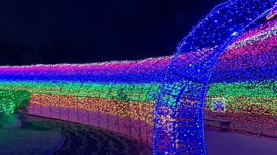 虹の道🌈