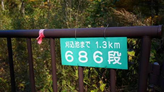 帰りは階段コース