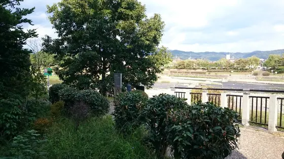 鴨川合流点の遊舗道に面した特等席