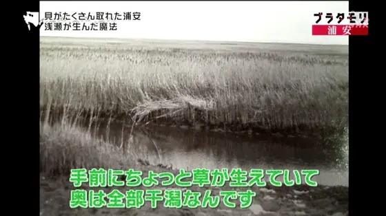 沖の百万坪