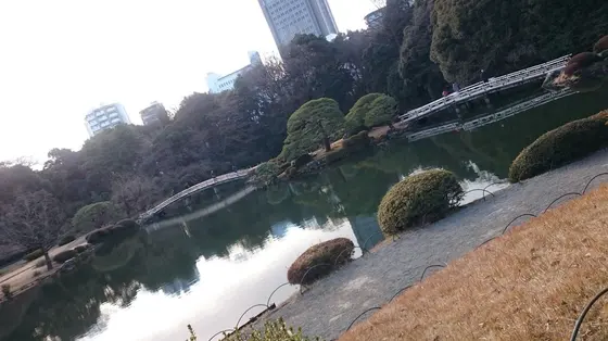200円でこの景色！