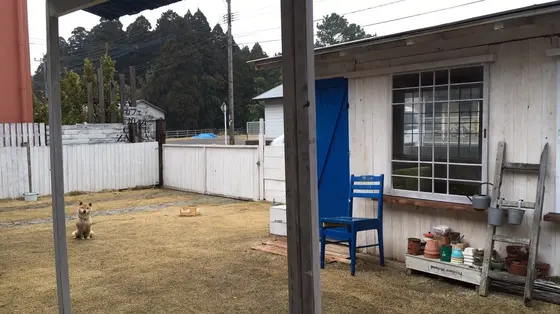 わんちゃん🐶
