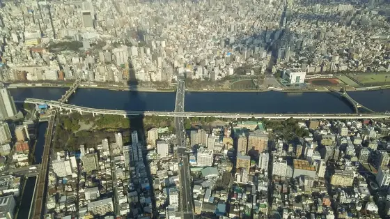 関東平野を一望