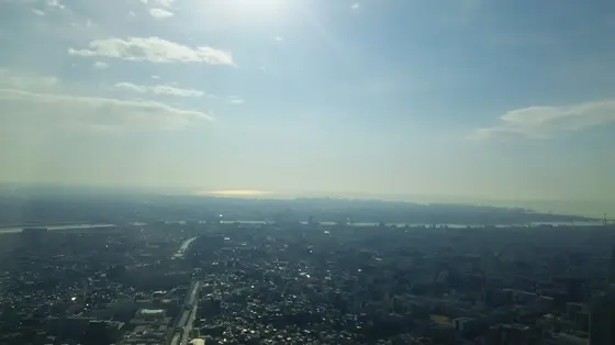 関東平野を一望