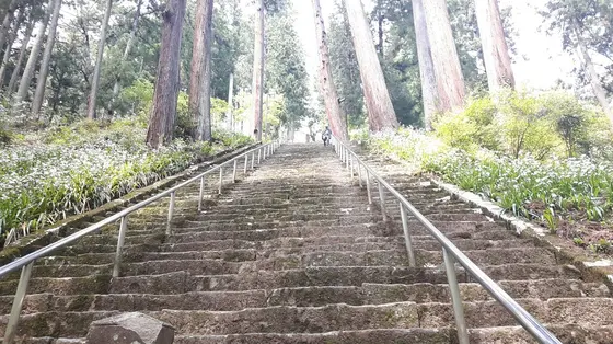 287段の階段！を下から撮りました〜。