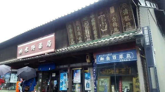水野薬局店