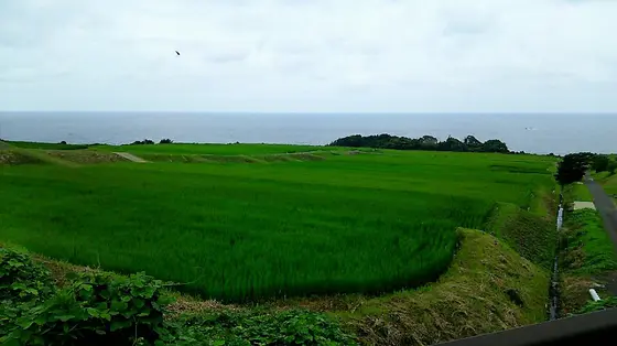 前田んぼ