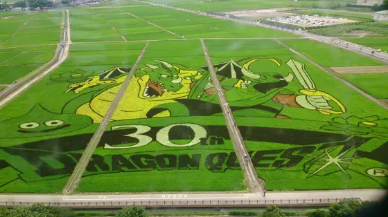 2016年7月田んぼアート