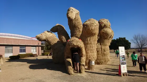 2018年1月のわらアート