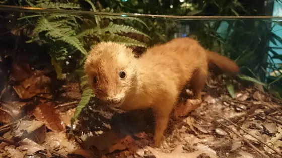 資料館になっている