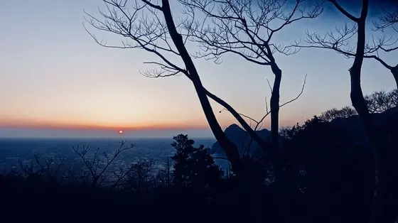 夕陽が落ちていく。