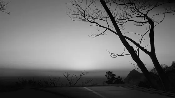 black and white.