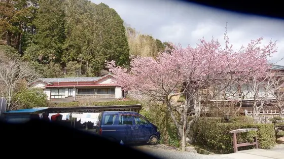 外観はこんな感じです。