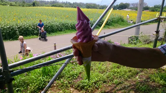 ソフトクリームを買って食べる