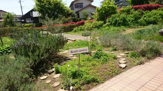 緑を