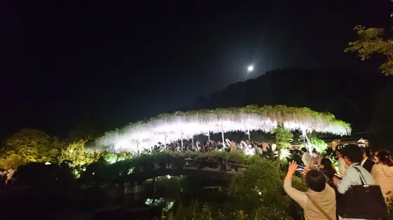 2018/4/29