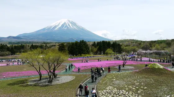 展望台からの眺め