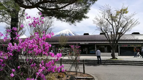 ツツジ咲く自然探索路など