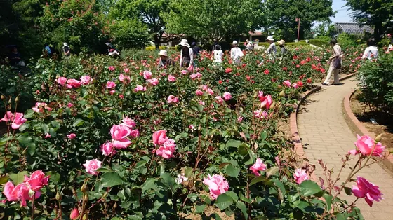 2018/5/5
