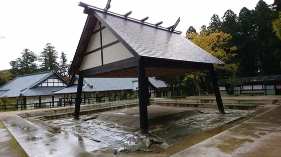 相撲をする
