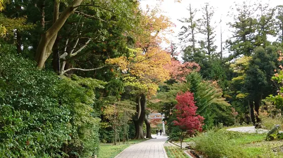 見事な