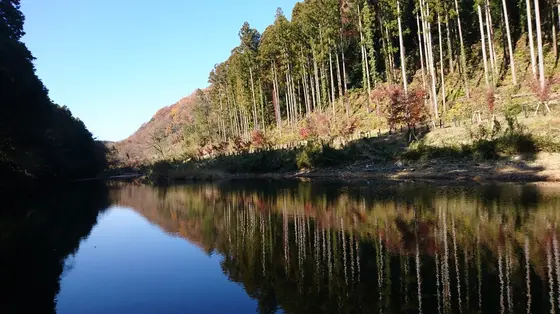 水が