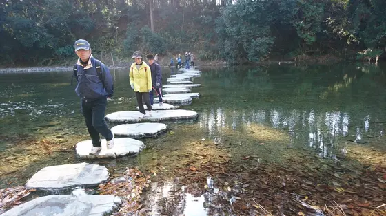 飛び石の橋がある