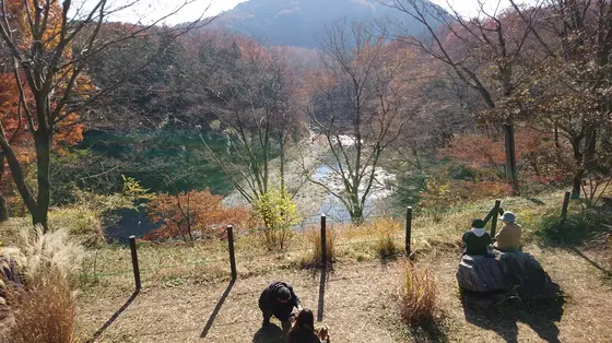 展望台からの