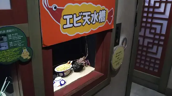 エビ天水槽